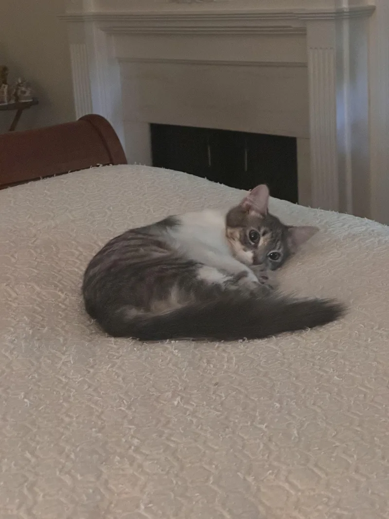 Sally thumbnail 3