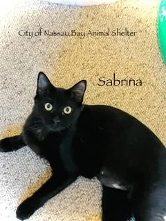 F Sabrina