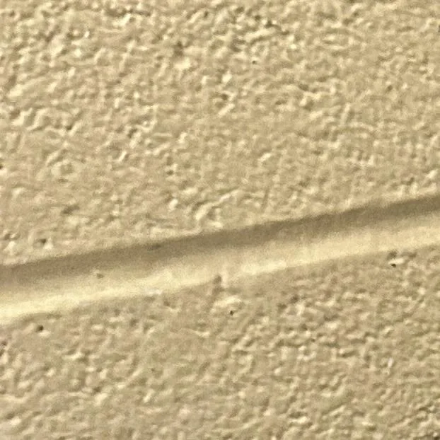 A young small-sized male Black Chihuahua dog named Buck for adoption in Waldorf, MD