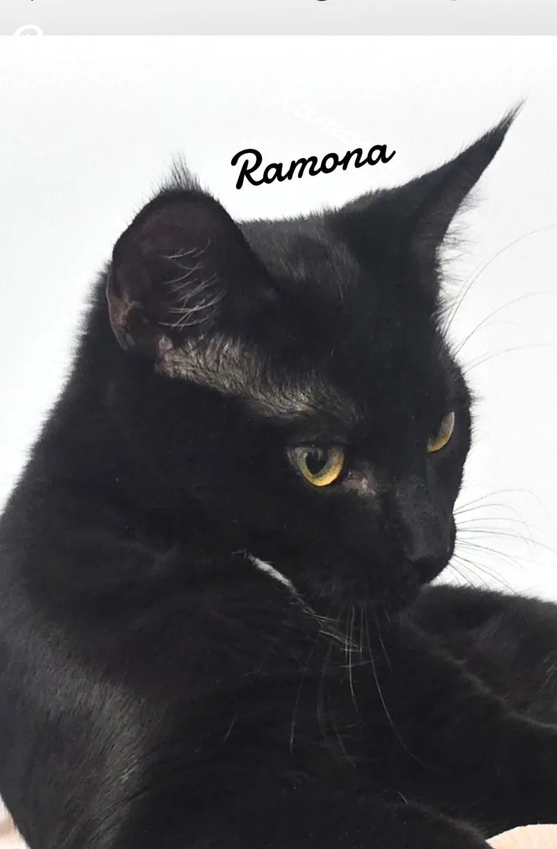 Ramona