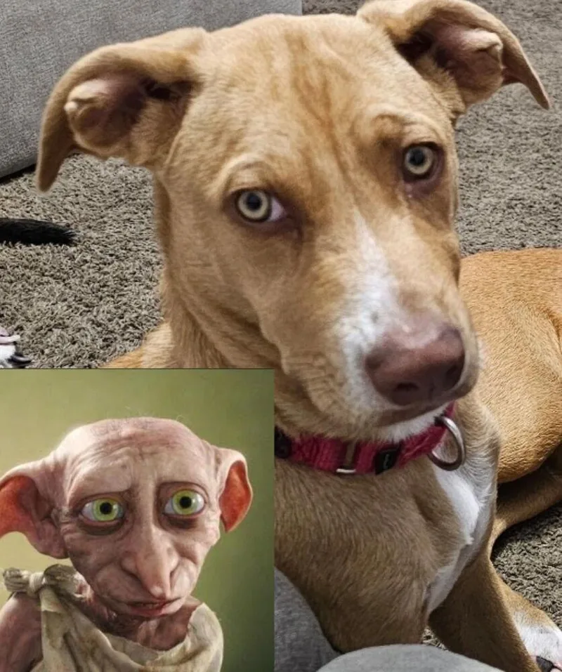 Ezzy  Uno thumbnail 6