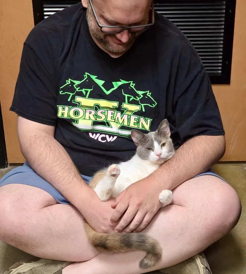 Alessia lap cuddler thumbnail 6
