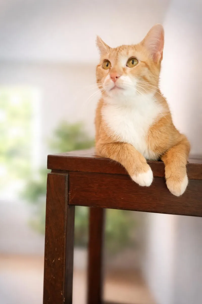 Valentina Will Steal Your thumbnail 2