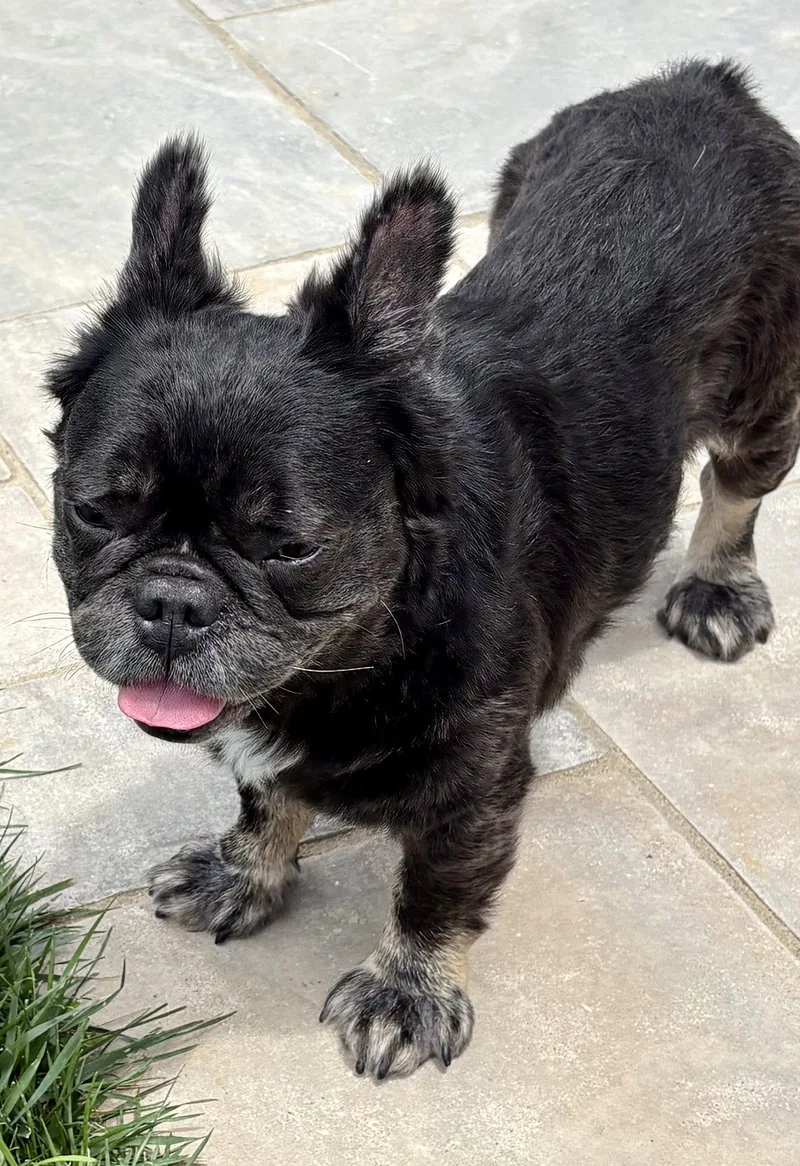 Lulu thumbnail 3