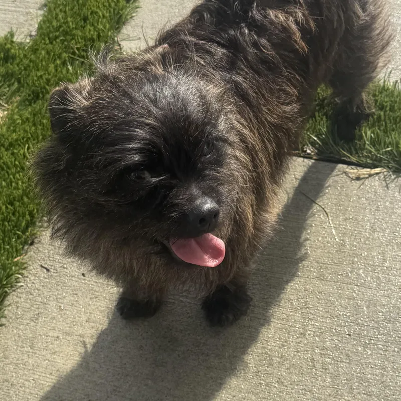 Ms. Bubbly Hazel thumbnail 2