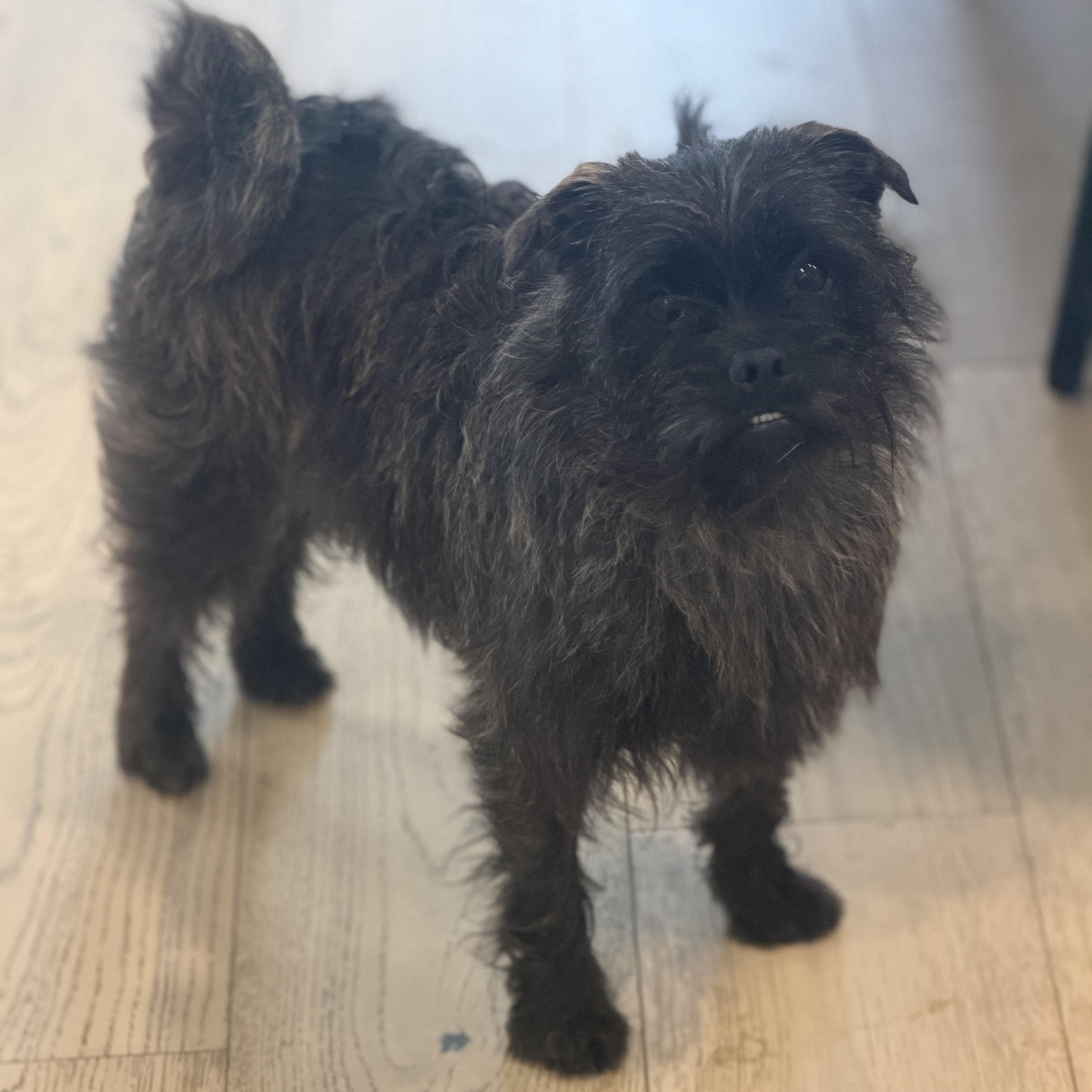 Ms. Bubbly Hazel thumbnail 5