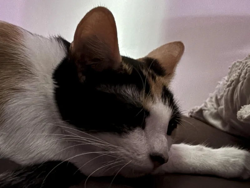 Leah thumbnail 2