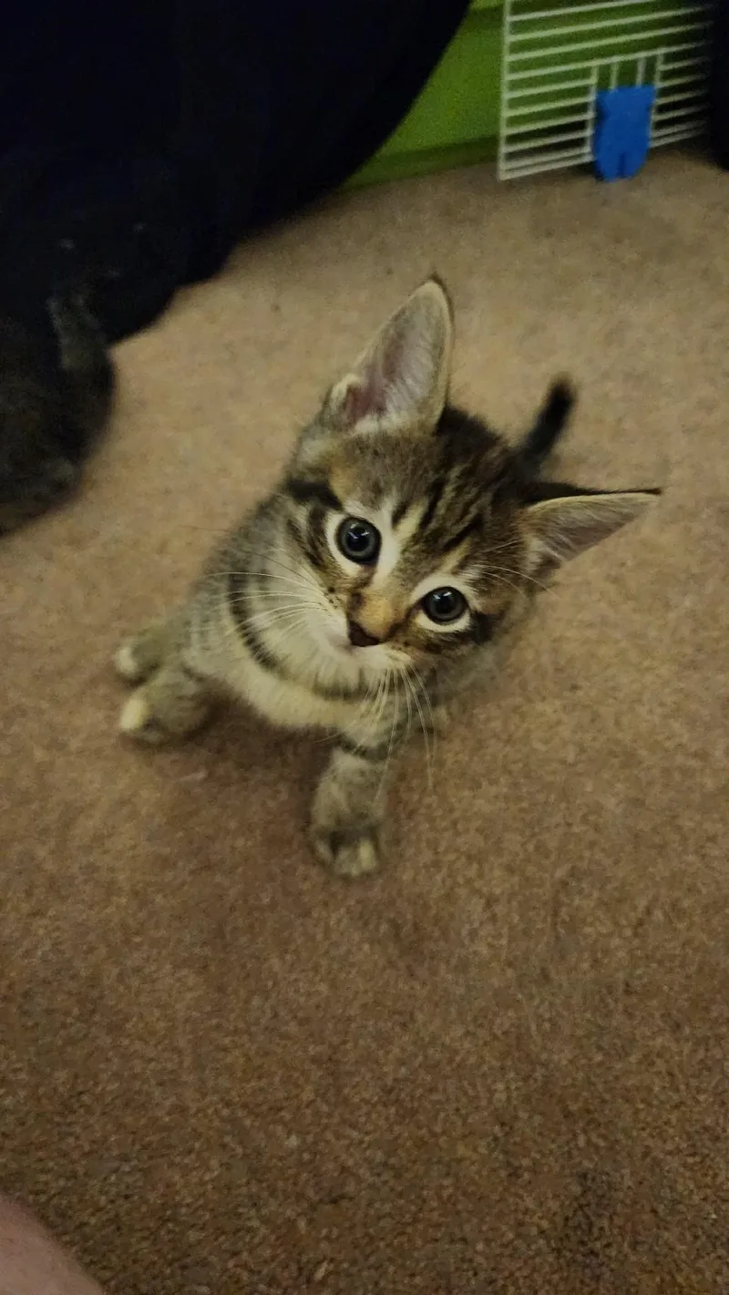 Milly thumbnail 2