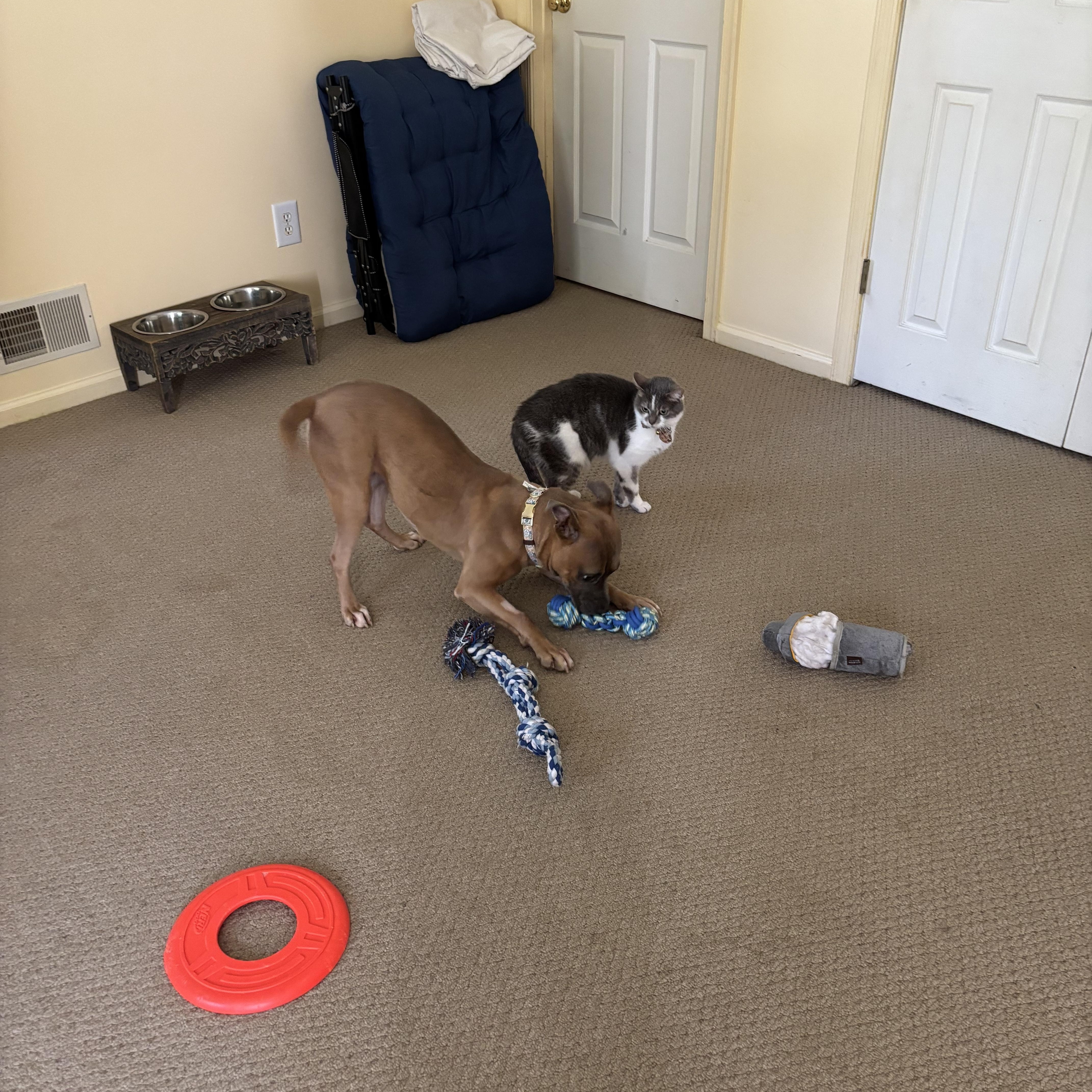 Valkyrie thumbnail 2