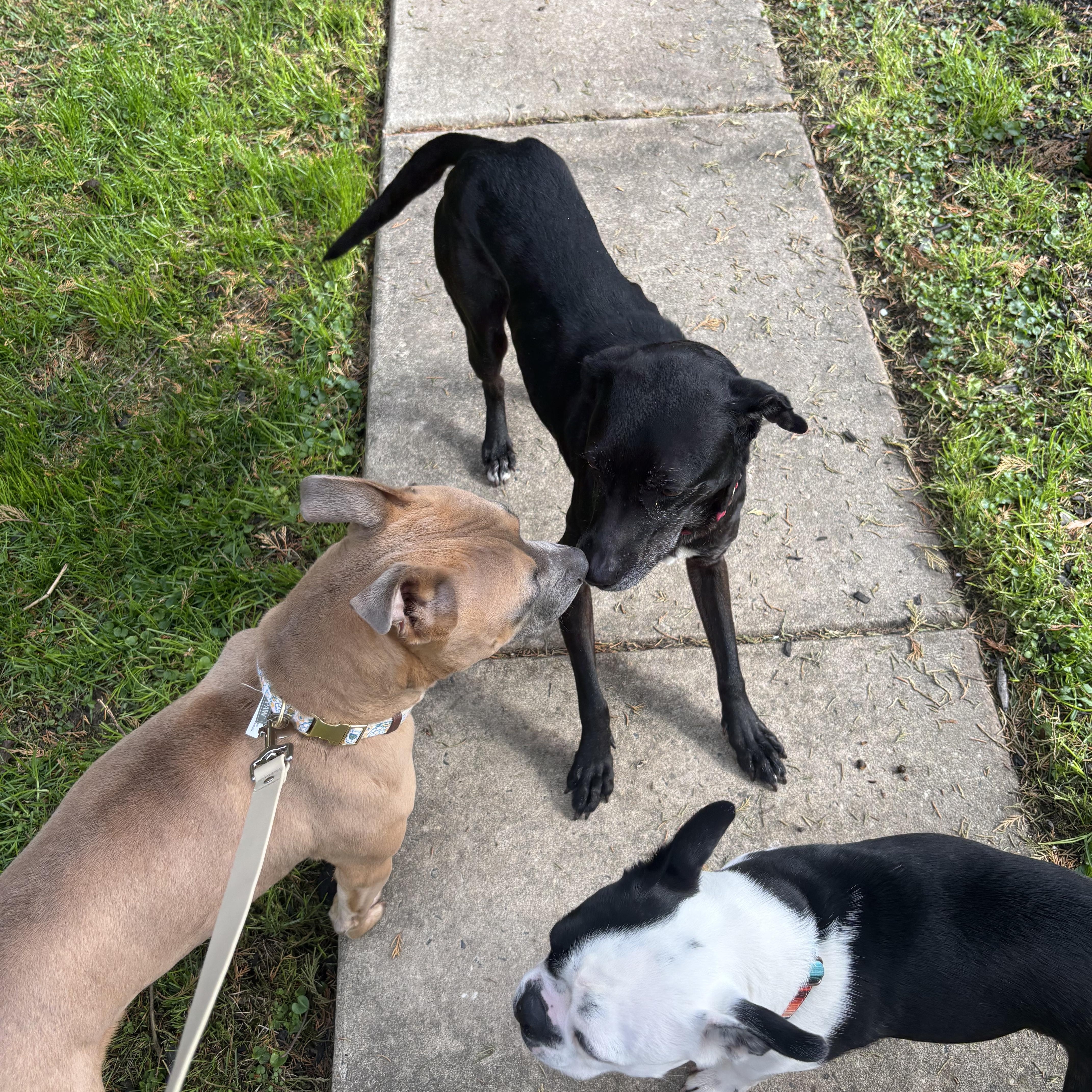 Valkyrie thumbnail 3