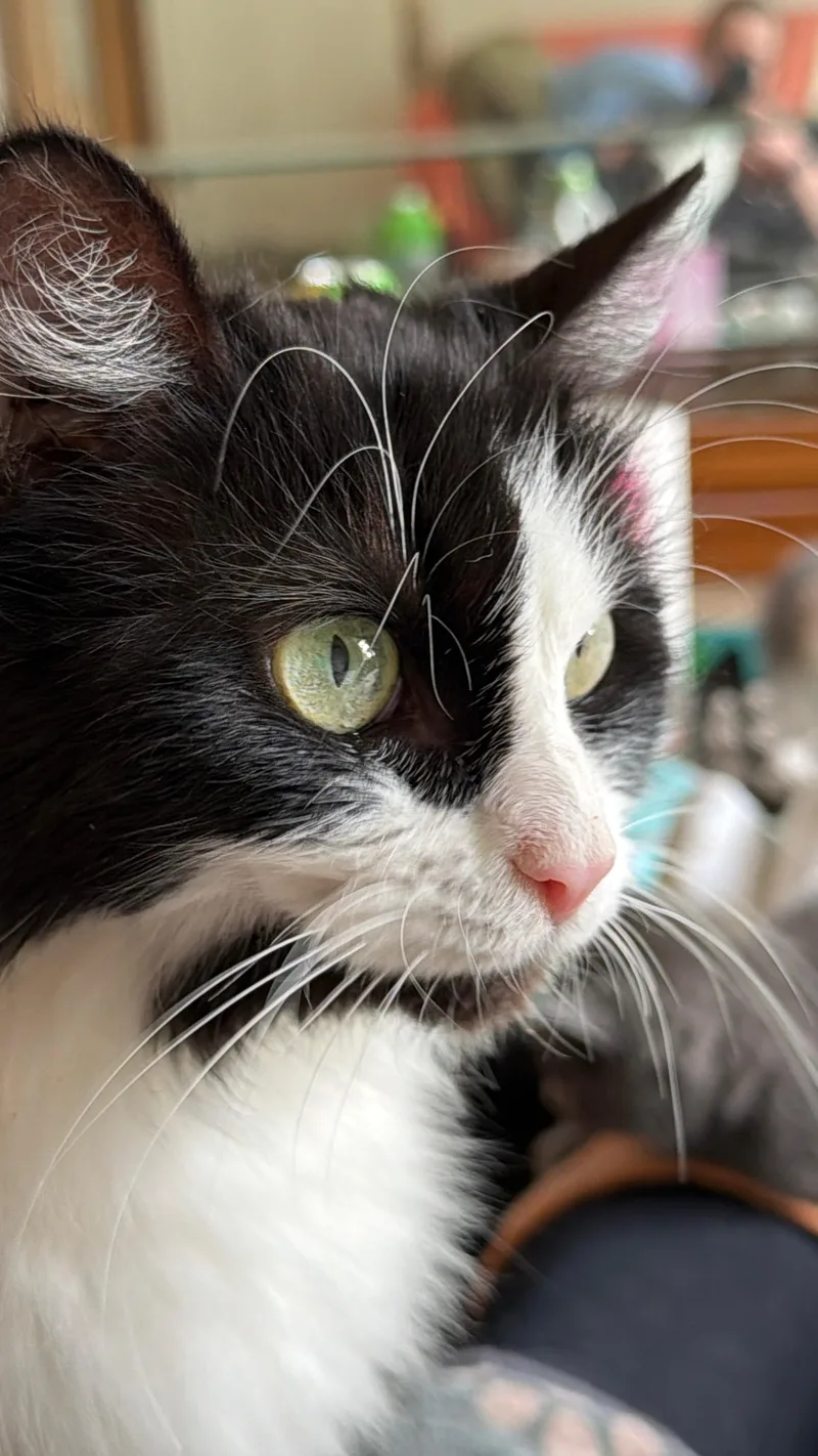 Sasha thumbnail 6