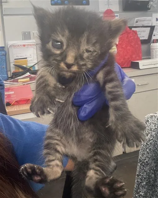 Sunshine thumbnail 2