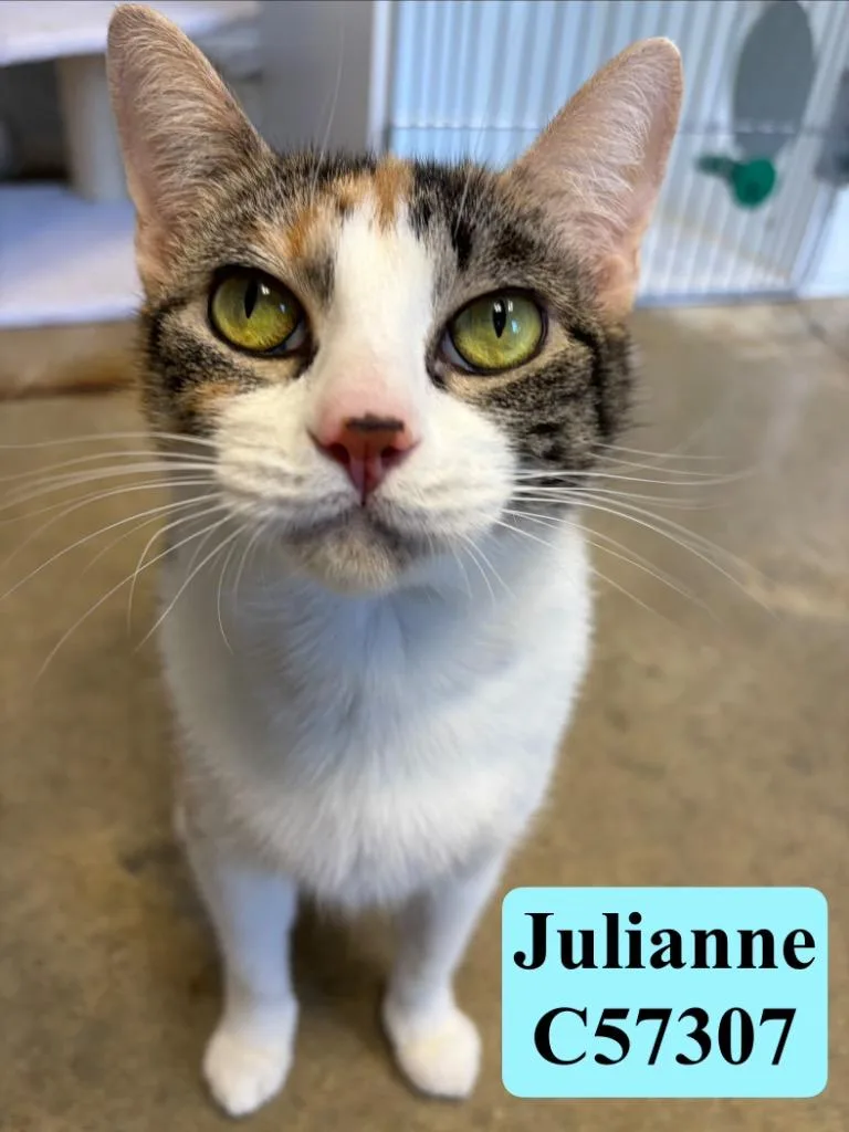 Julianne thumbnail 2