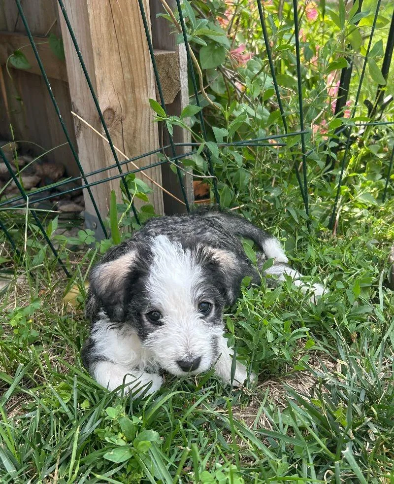 Mya Grace thumbnail 2