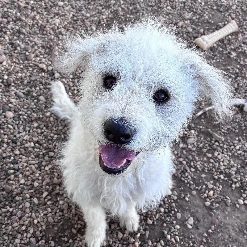 Mya Grace thumbnail 3