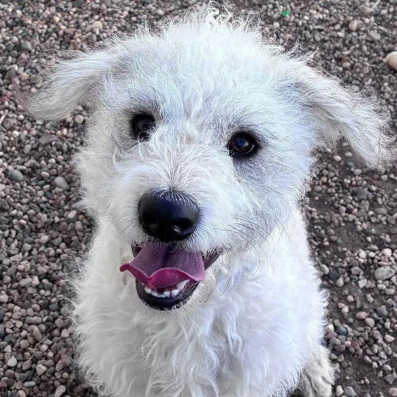 Mya Grace thumbnail 4