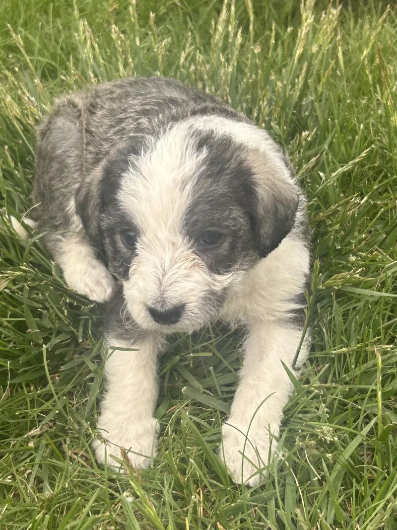 Mya Grace thumbnail 5