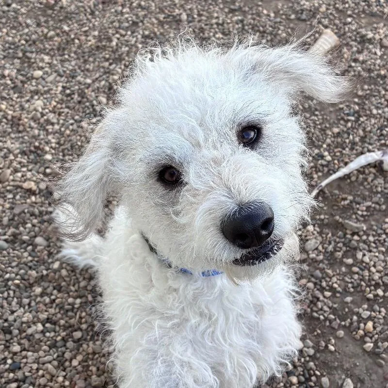 Mya Grace thumbnail 6