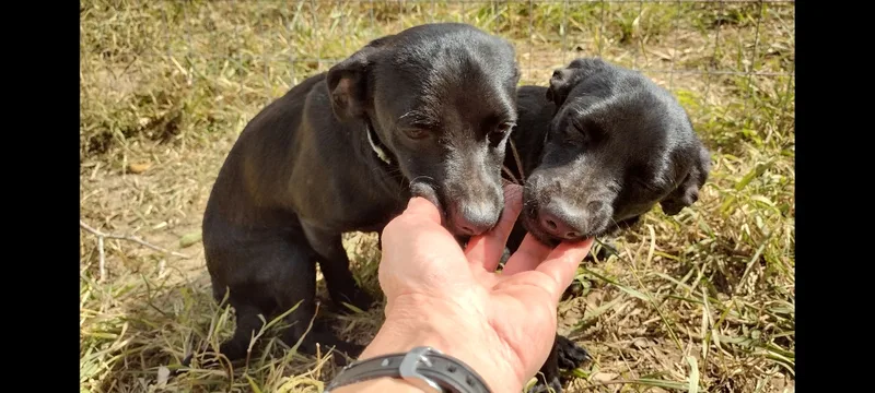 Pixie And James thumbnail 2