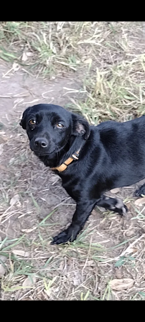 Pixie And James thumbnail 3