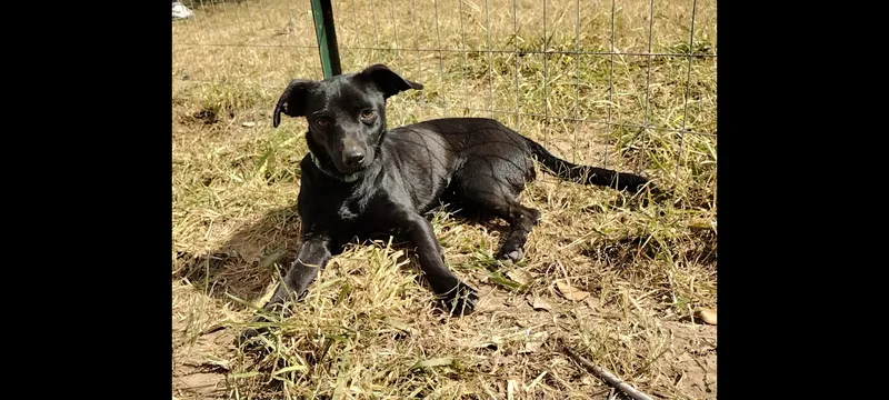 Pixie And James thumbnail 4