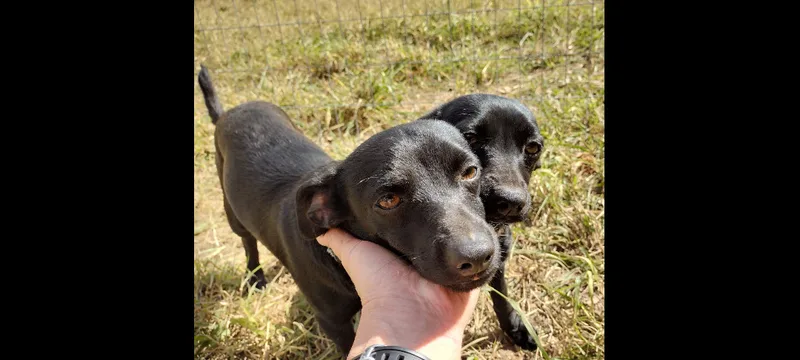 Pixie And James thumbnail 5