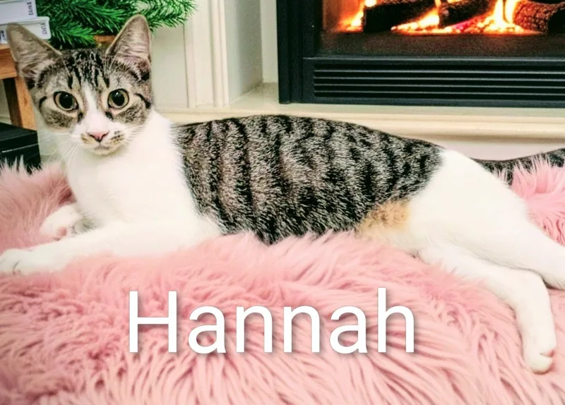 Hannah thumbnail 2