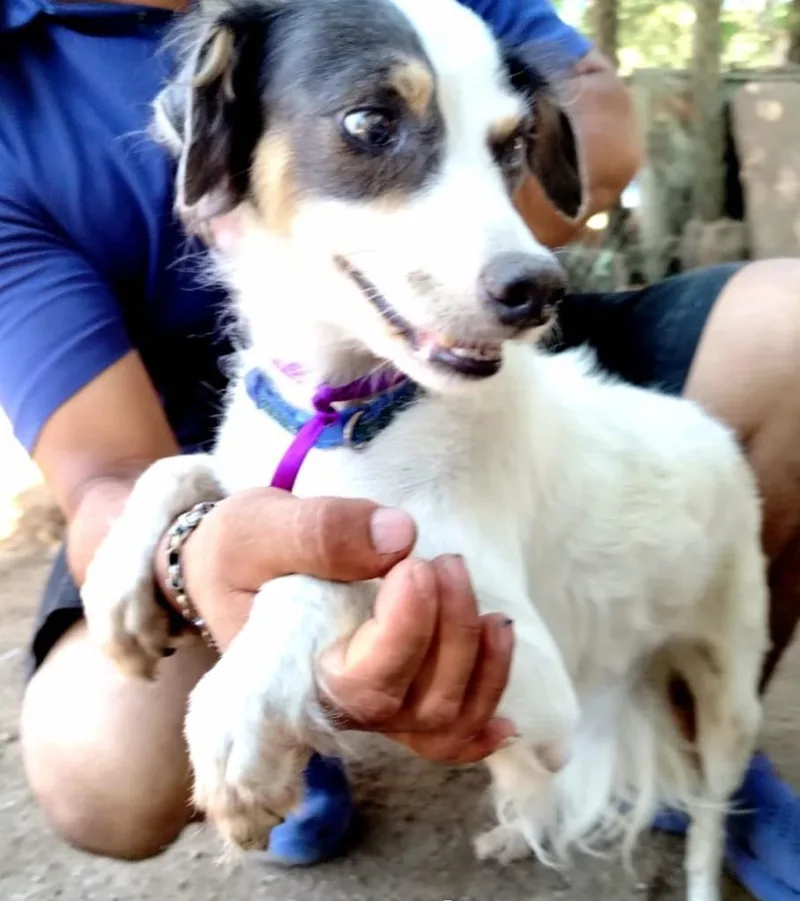 Panchita thumbnail 3