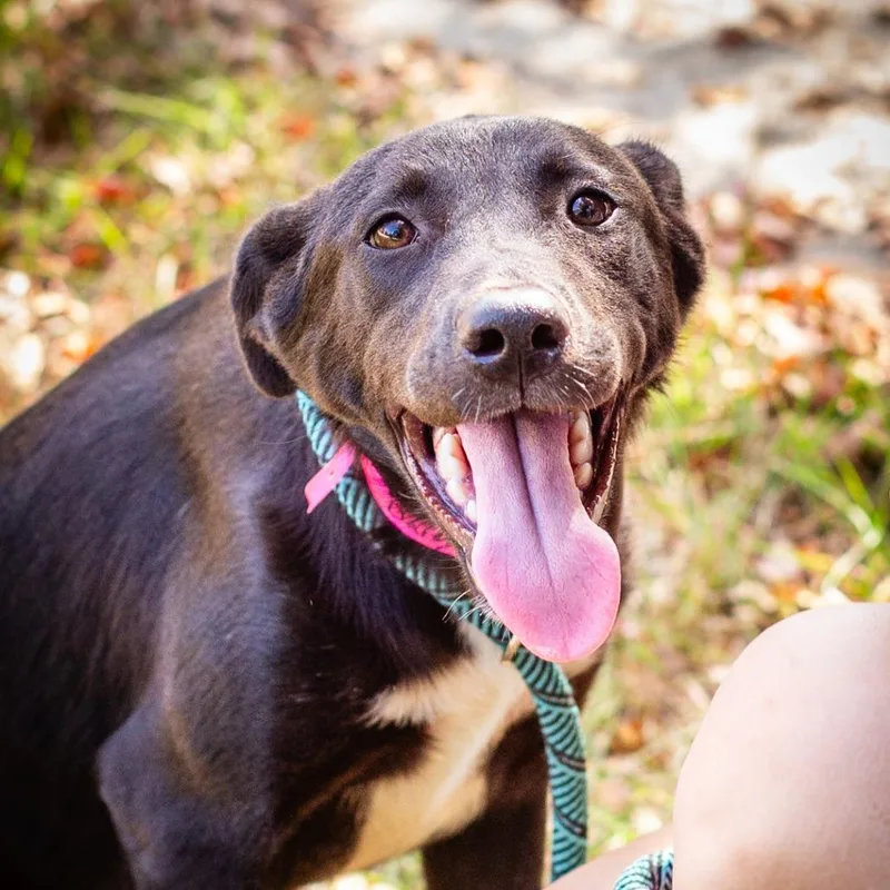 Daisy Mae thumbnail 2