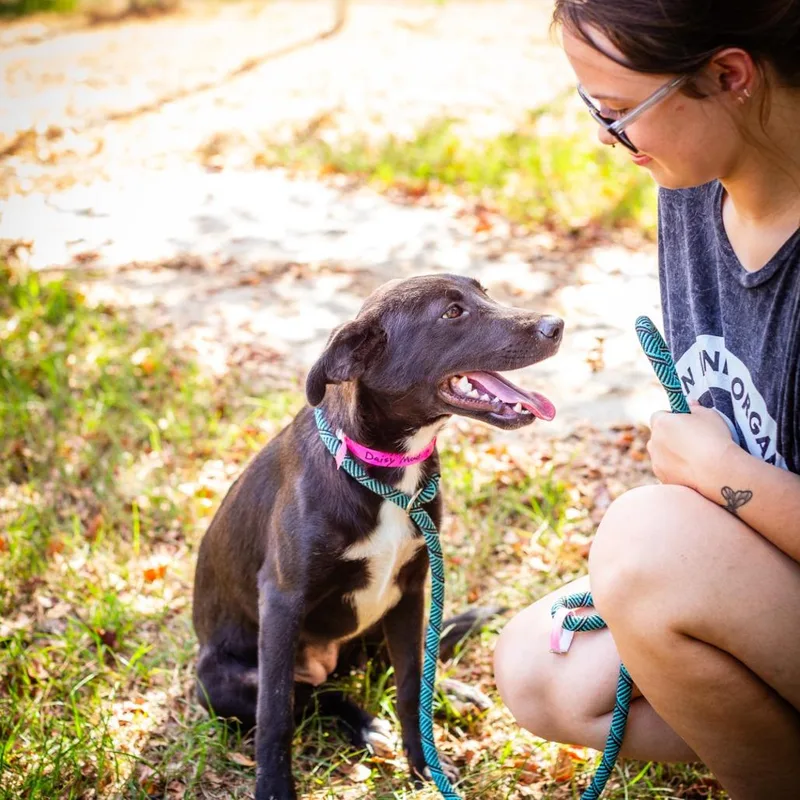 Daisy Mae thumbnail 6