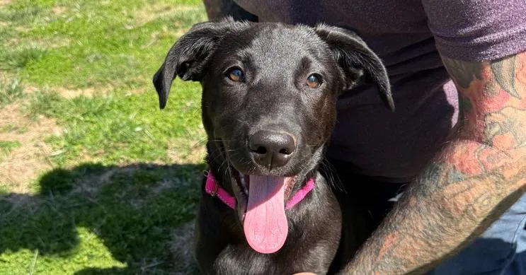 Ella Bella thumbnail 2