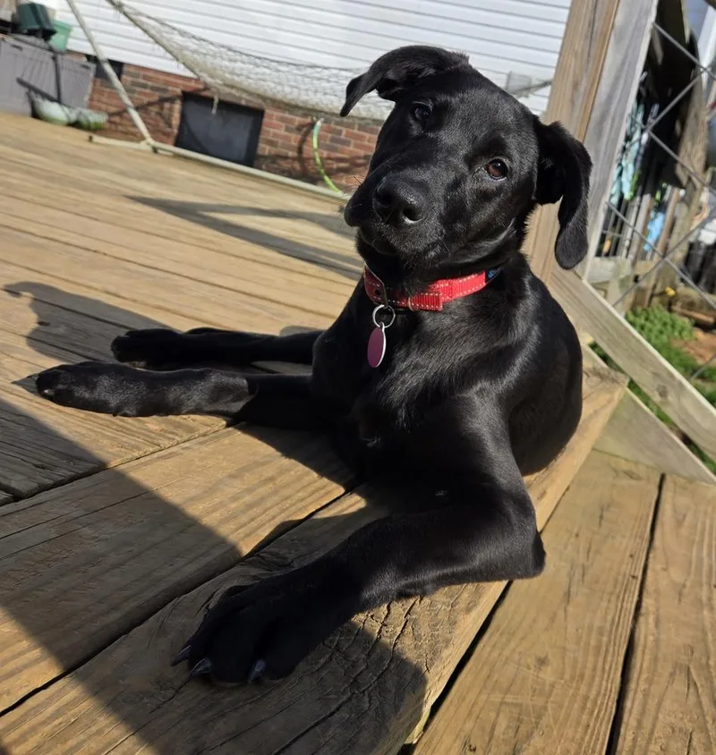 Ella Bella thumbnail 3