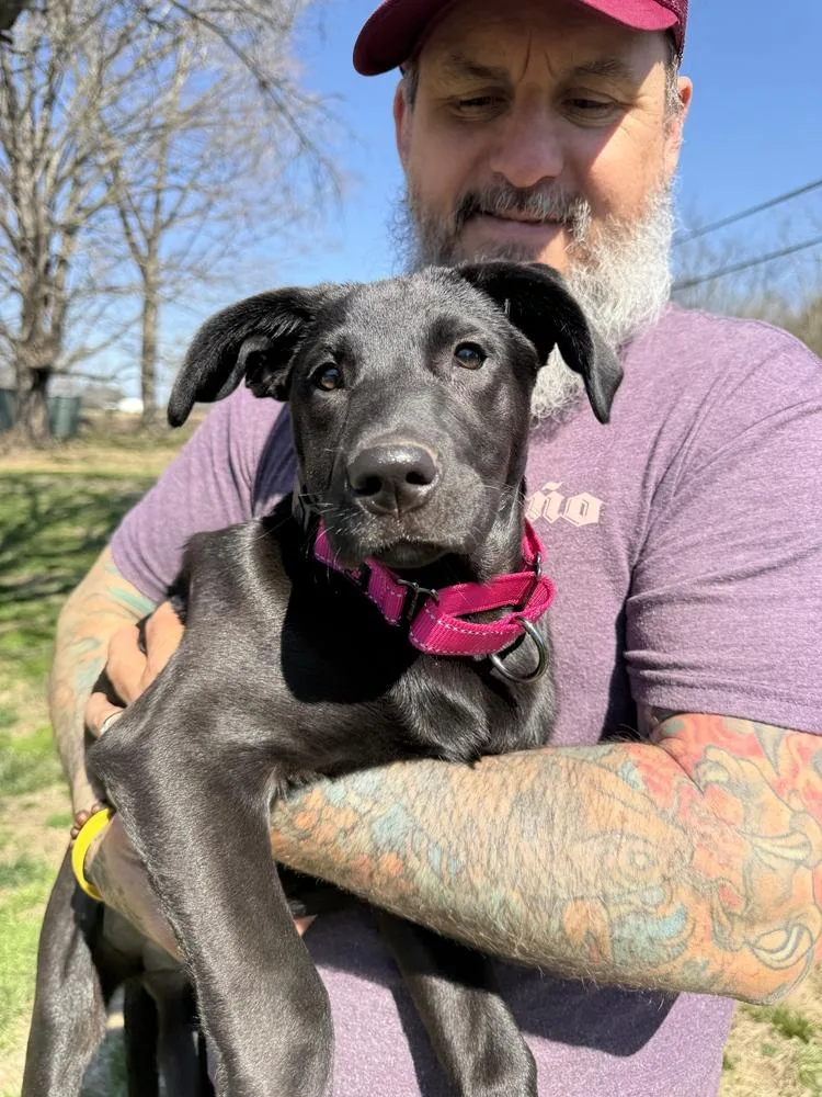 Ella Bella thumbnail 4