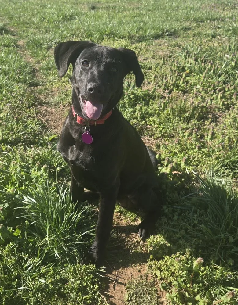 Ella Bella thumbnail 5