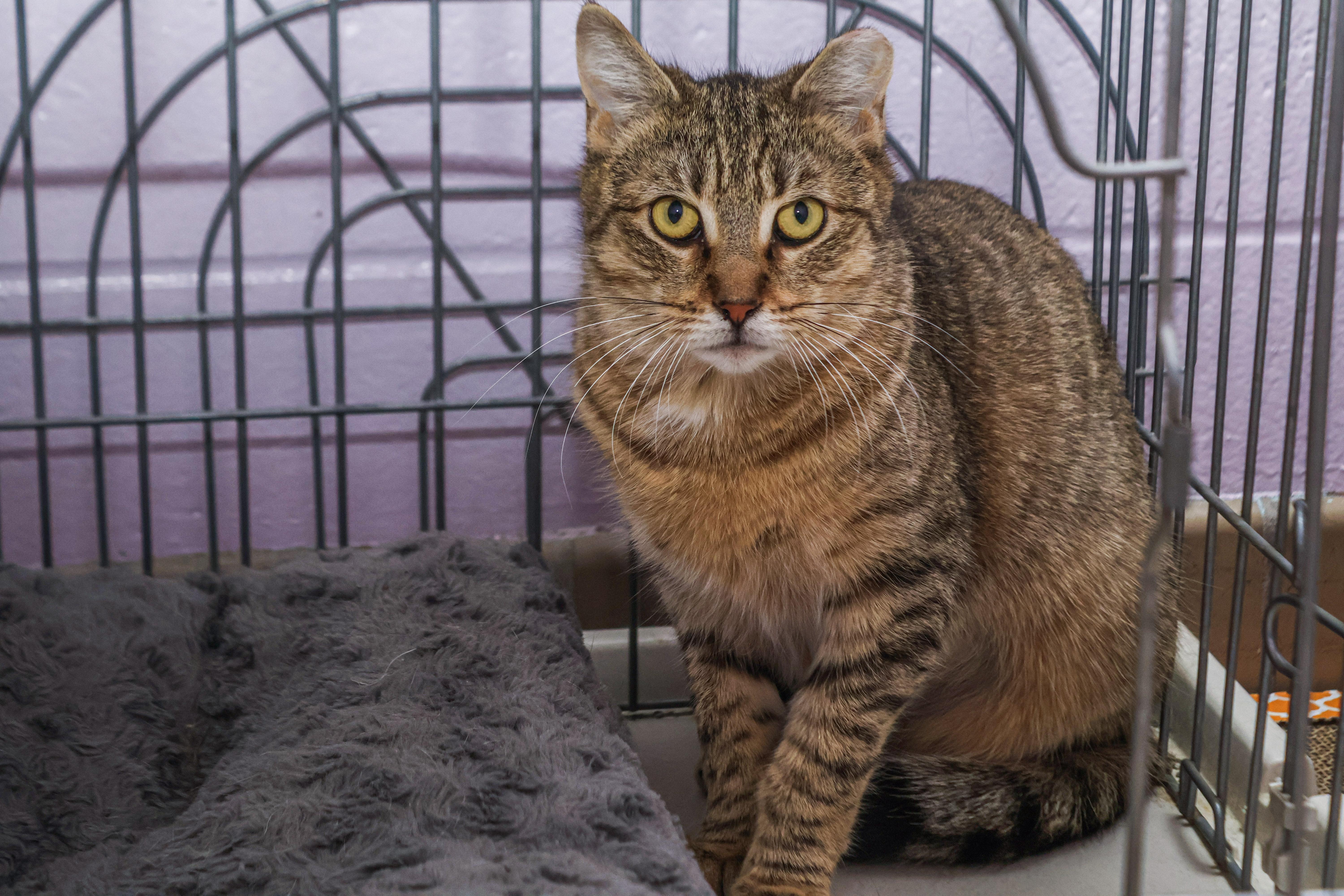 Brooklyn thumbnail 2