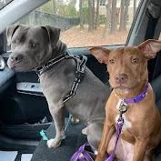 Samantha thumbnail 2