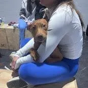 Samantha thumbnail 3