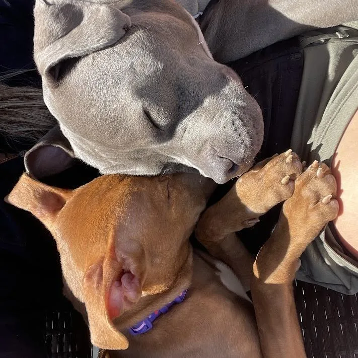 Samantha thumbnail 4