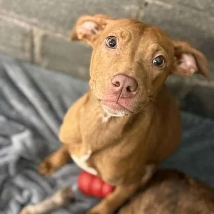 Samantha thumbnail 5