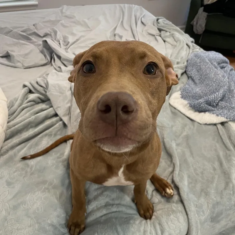 Samantha thumbnail 6