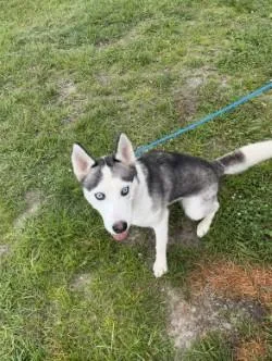Luna