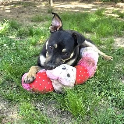 Molly Mae thumbnail 2