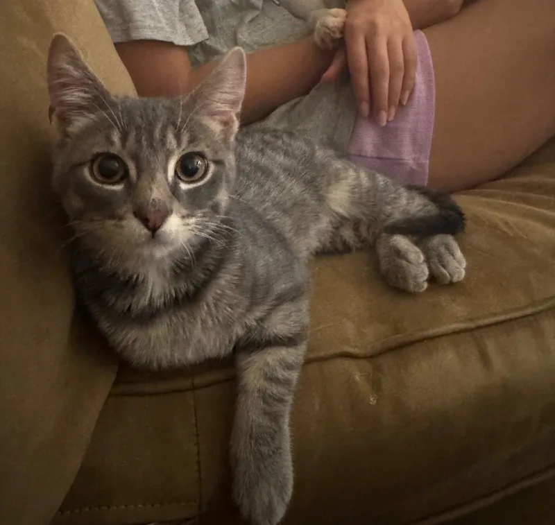 Monopoly thumbnail 2