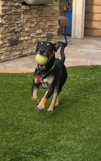 Wilson