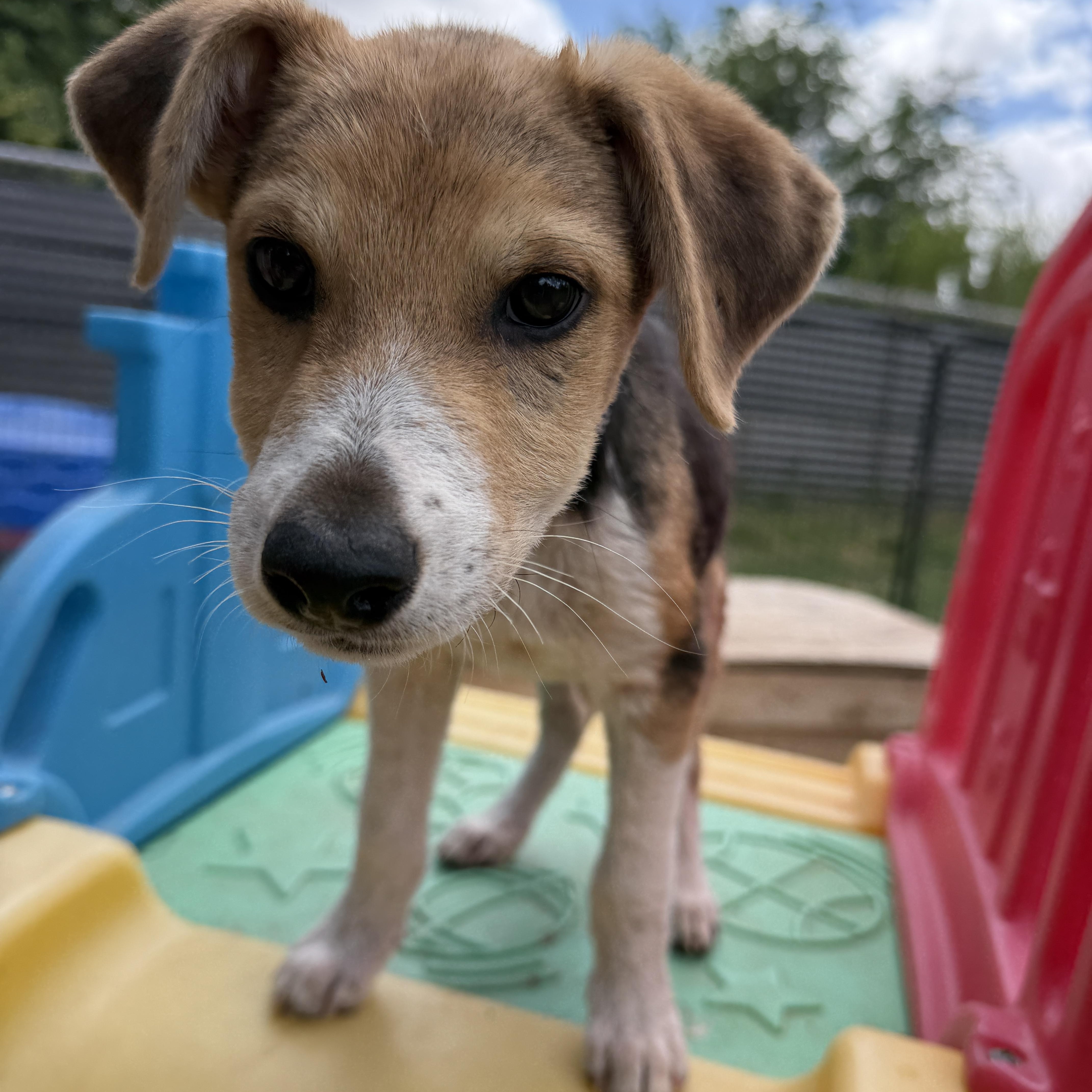 Wells thumbnail 2