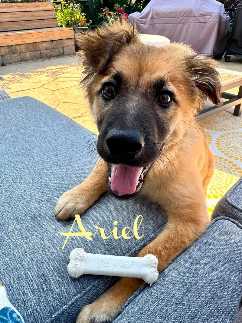 Ariel thumbnail 5