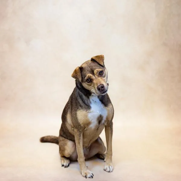 Pen   'georgia' thumbnail 2