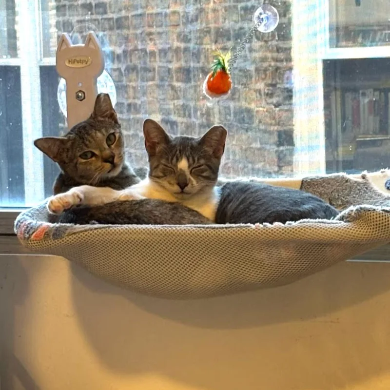Ruby & Archie  thumbnail 3