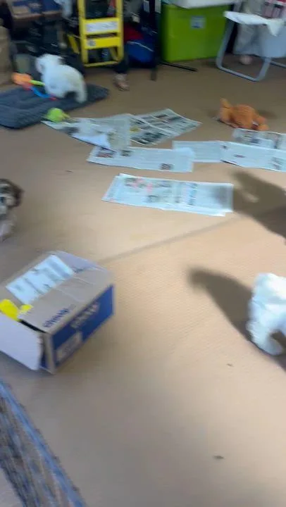 Ice Man thumbnail 4