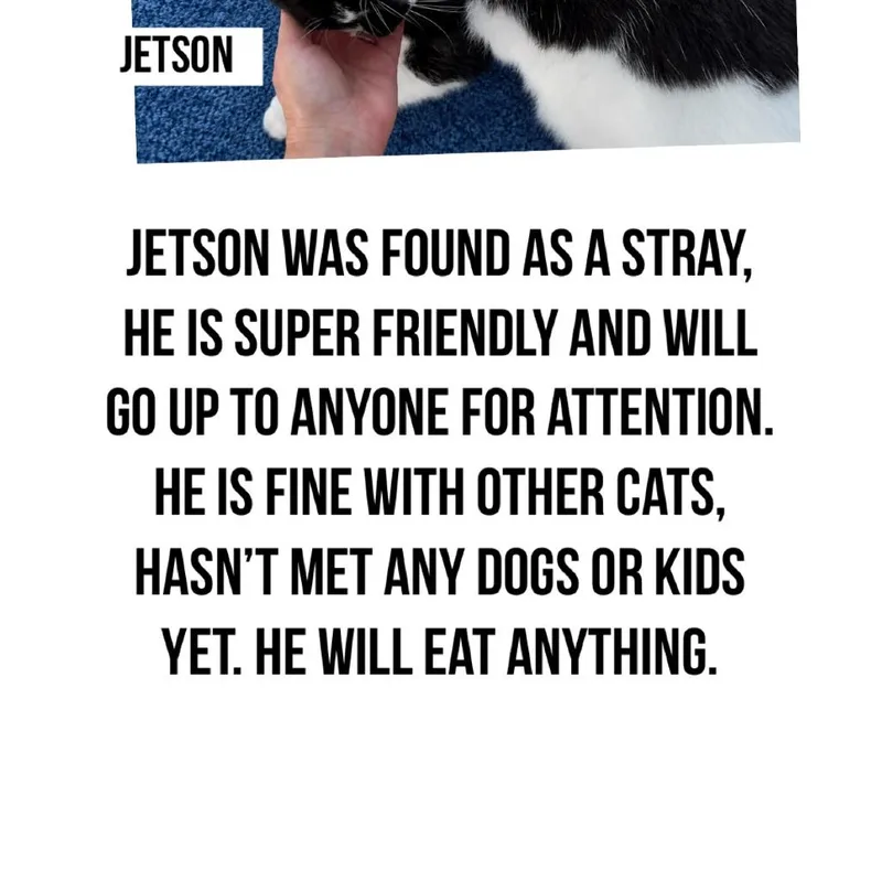 Jetson thumbnail 2